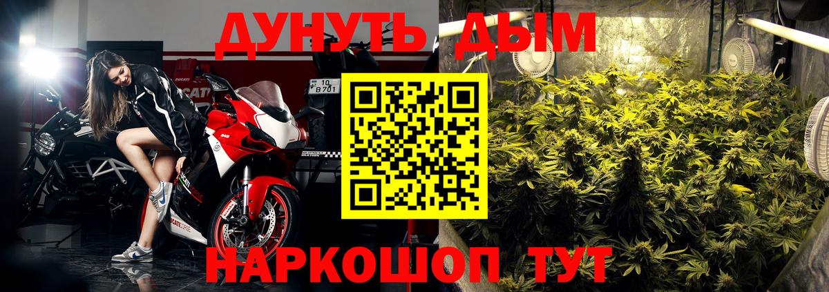 МАРИХУАНА планчик  Канабис планчик  Канабис индика  Боровичи  Каннабис White Widow  Вход с VPN 
